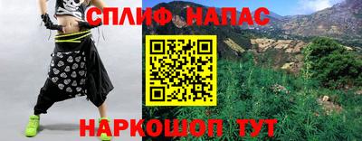стаф Будённовск