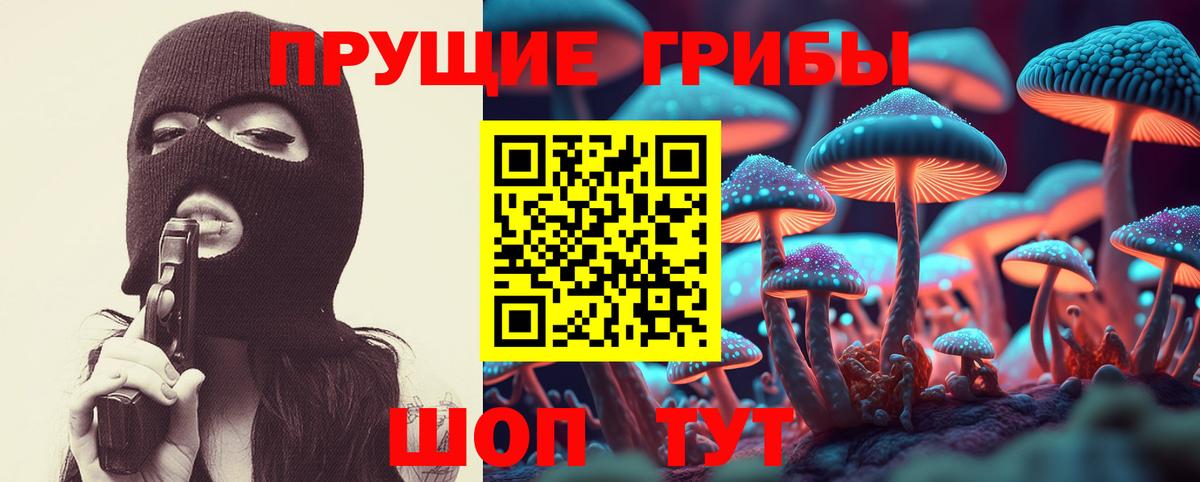 Галлюциногенные грибы Cubensis  Галлюциногенные грибы GOLDEN TEACHER  Вход с VPN  Сафоново 
